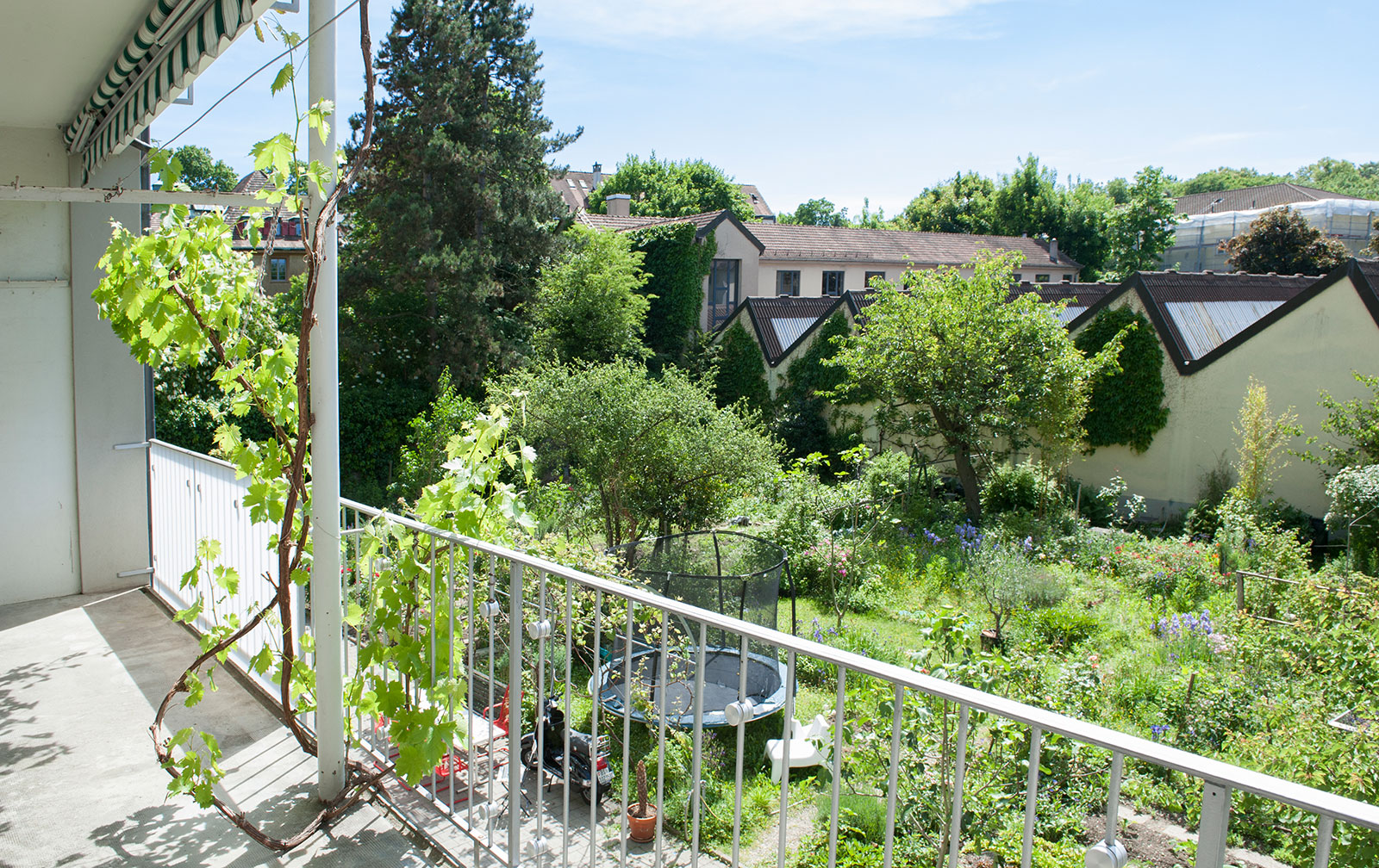 Eptingerstrasse_Balkon_und_Garten