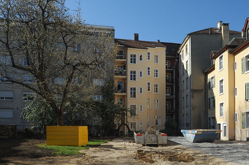 Tellplatz-Baumschutz